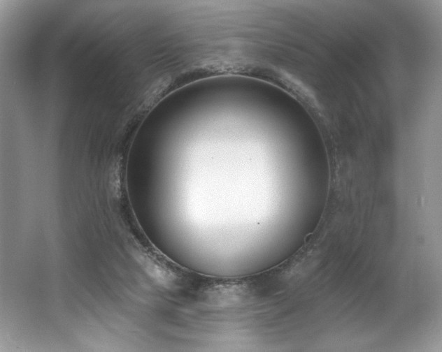 X0000062690065200512211447