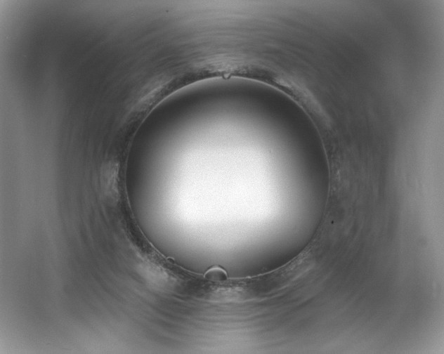 X0000062690066200512211447