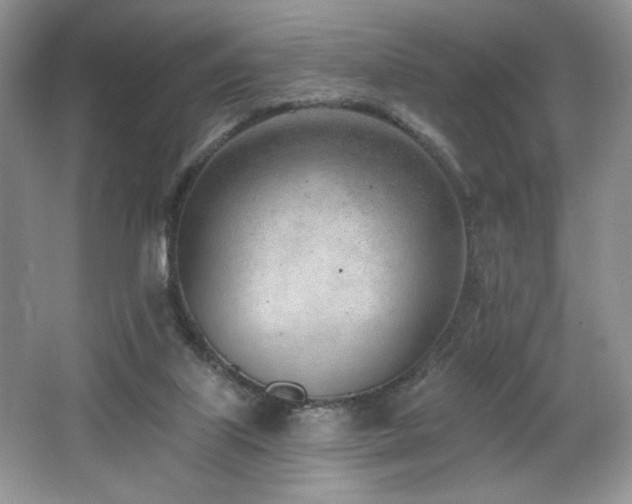 X0000062690067200512211447