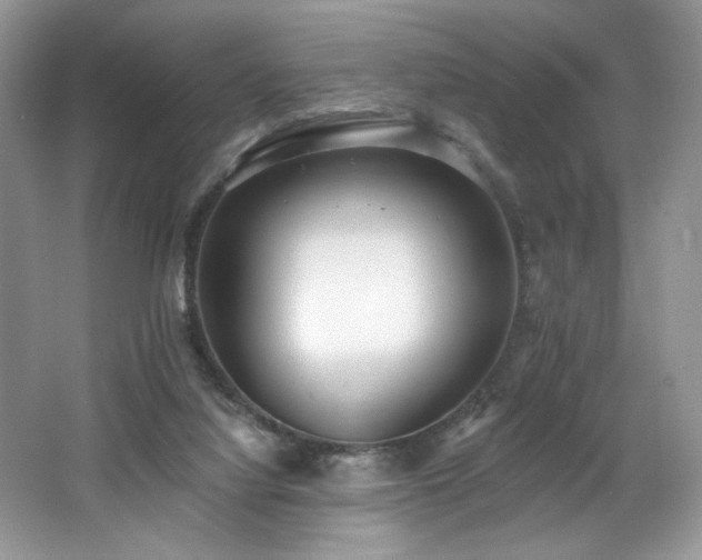 X0000062690068200512211447