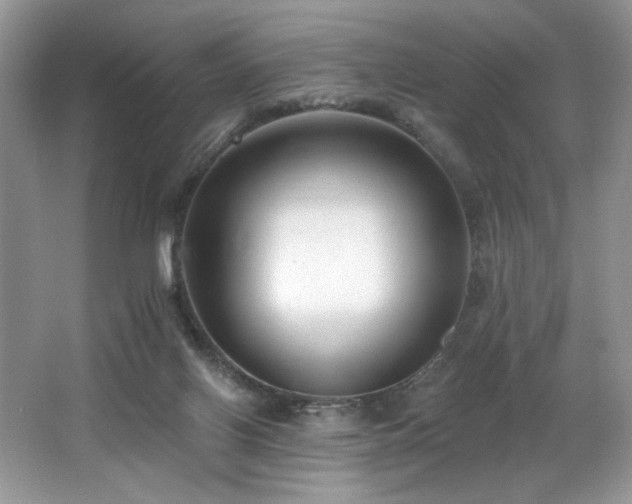 X0000062690070200512211447