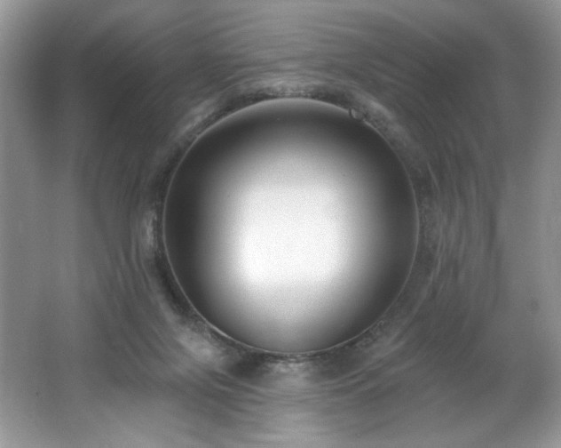 X0000062690071200512211447