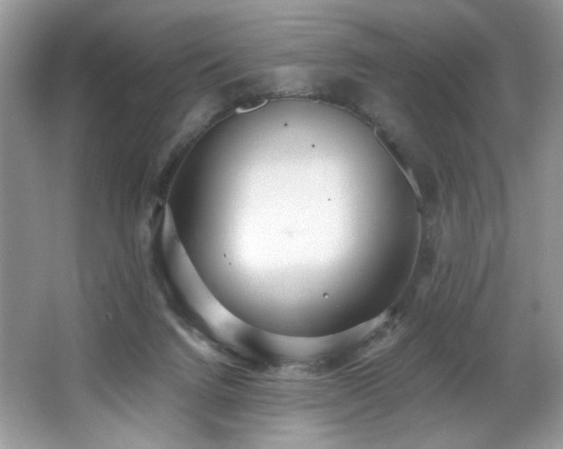 X0000062690072200512211447