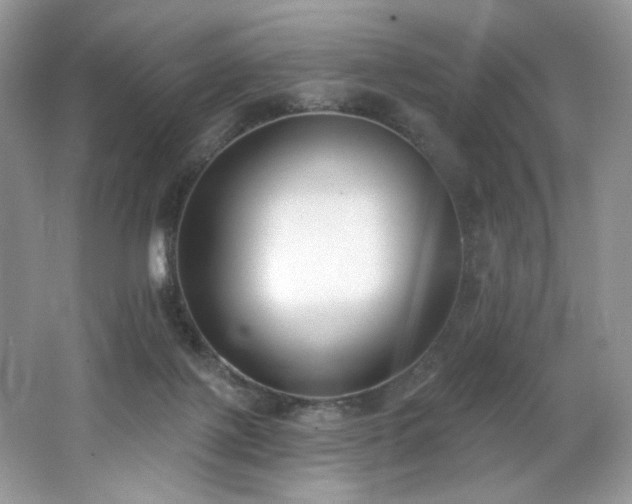 X0000062690075200512211447