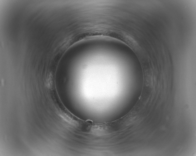 X0000062690077200512211447