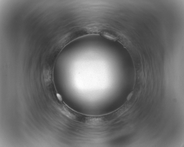 X0000062690081200512211447