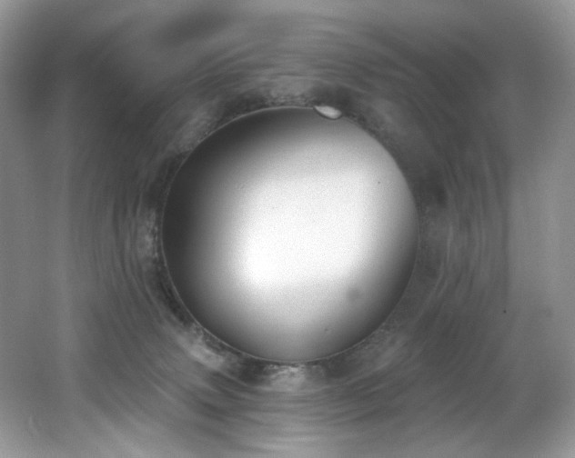 X0000062690083200512211447