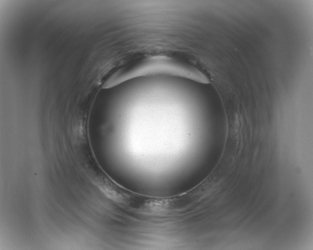X0000062690084200512211447