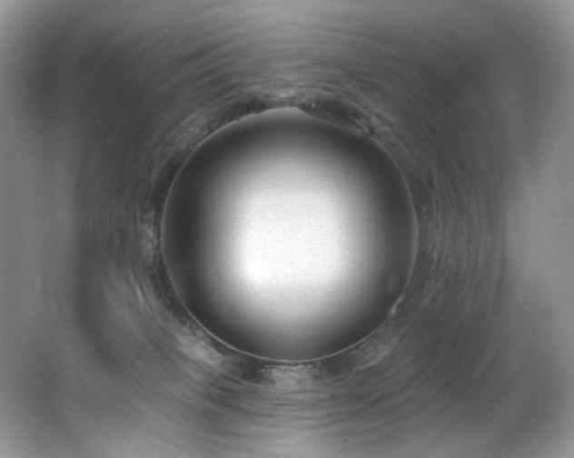 X0000062690085200512211447