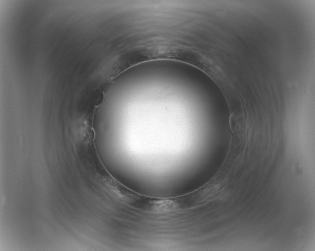 X0000062690087200512211447