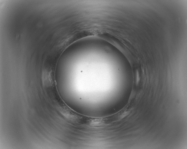 X0000062690088200512211448