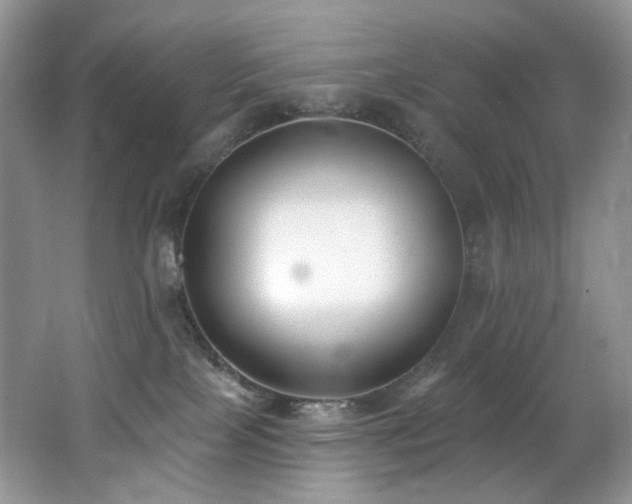 X0000062690089200512211448