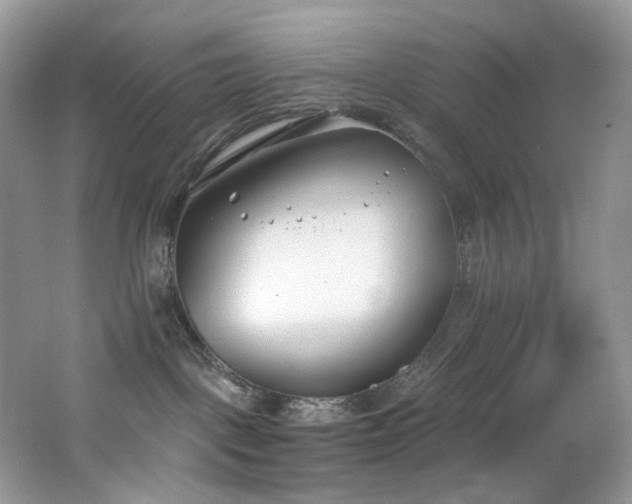 X0000062690093200512211448