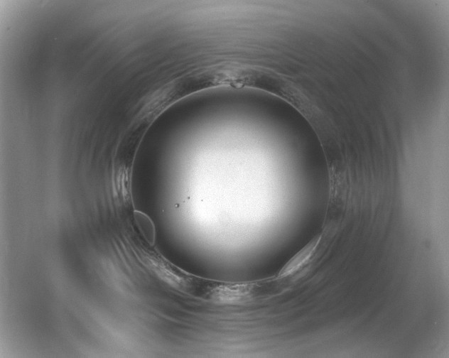 X0000062690094200512211448