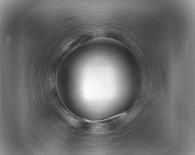 X0000062690096200512211448