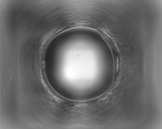 X0000062690097200512211447