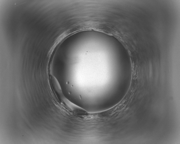 X0000062690099200512211447