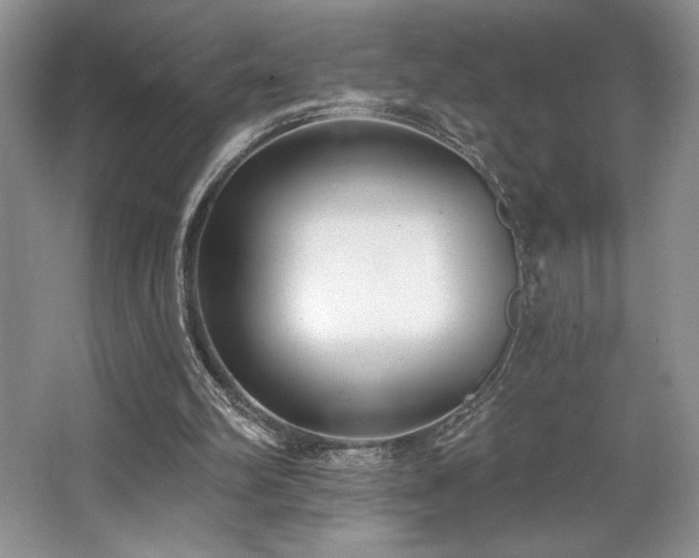 X0000062690102200512211447