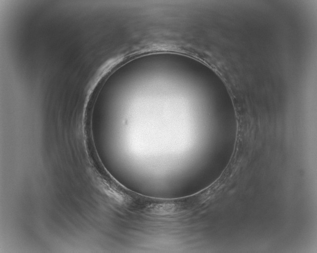 X0000062690104200512211447