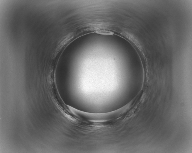 X0000062690105200512211447