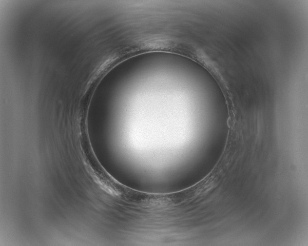 X0000062690106200512211447