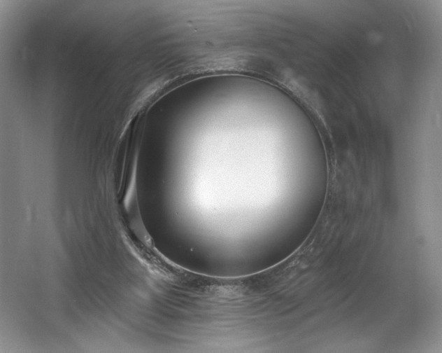 X0000062690107200512211447