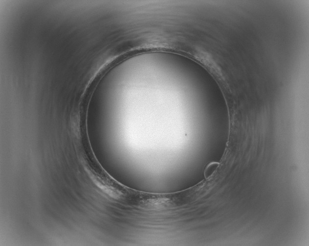 X0000062690108200512211447