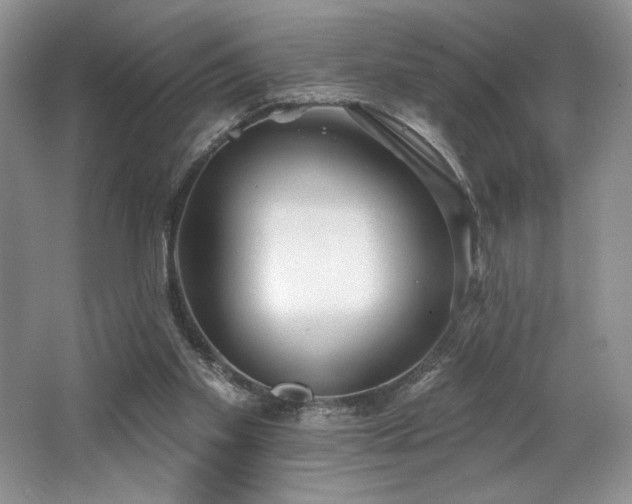 X0000062690109200512211447