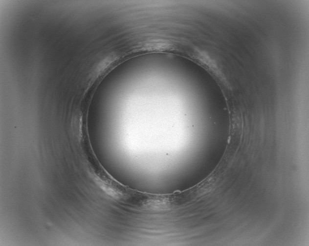 X0000062690110200512211447