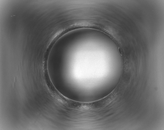 X0000062690111200512211447