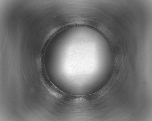 X0000062690112200512211447