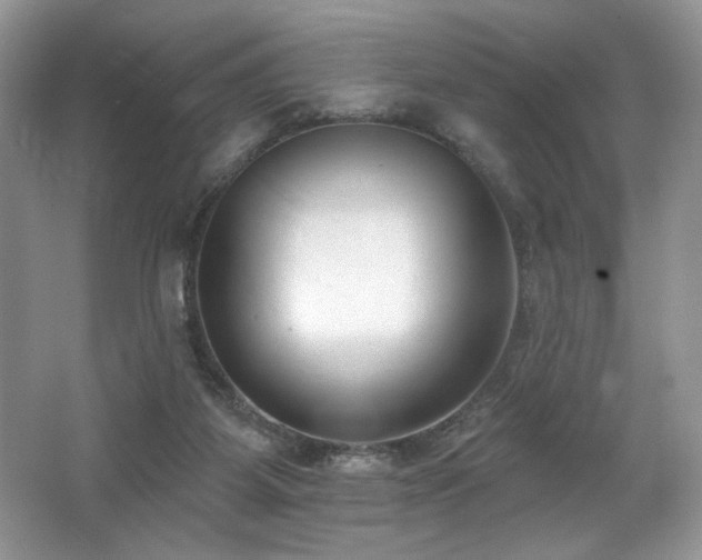 X0000062690115200512211446