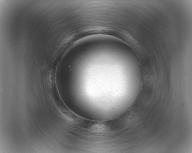 X0000062690119200512211446