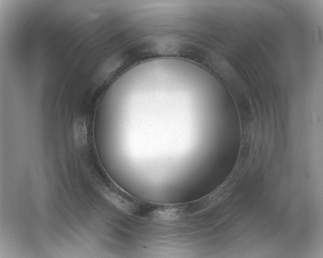 X0000062690120200512211446