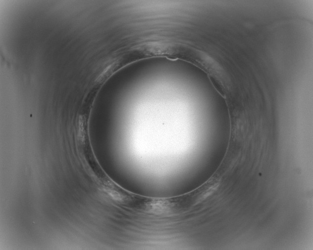 X0000062690121200512211446