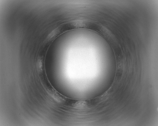 X0000062690124200512211446