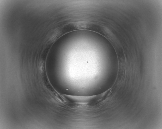 X0000062690125200512211446