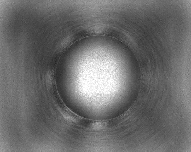 X0000062690126200512211446