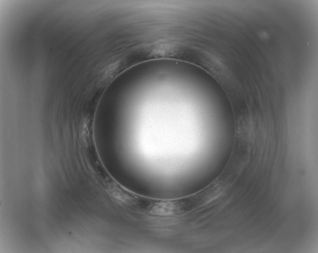 X0000062690127200512211446