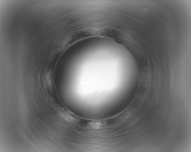 X0000062690131200512211446
