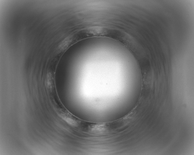 X0000062690132200512211446