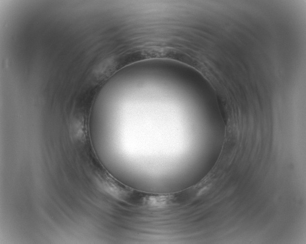 X0000062690134200512211446