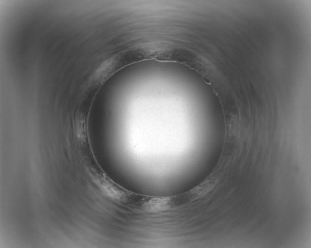 X0000062690138200512211446