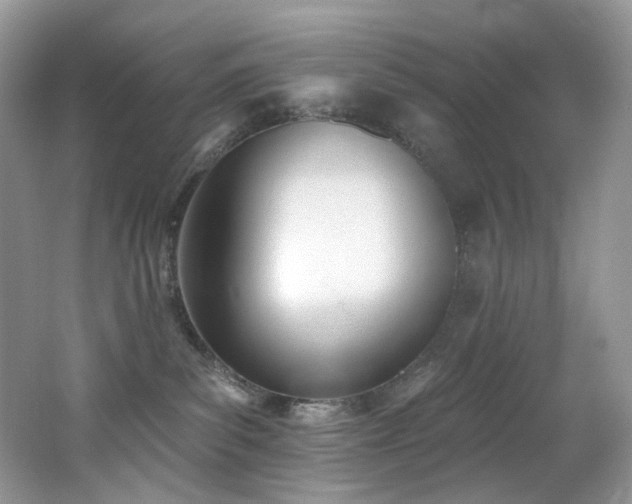 X0000062690139200512211446