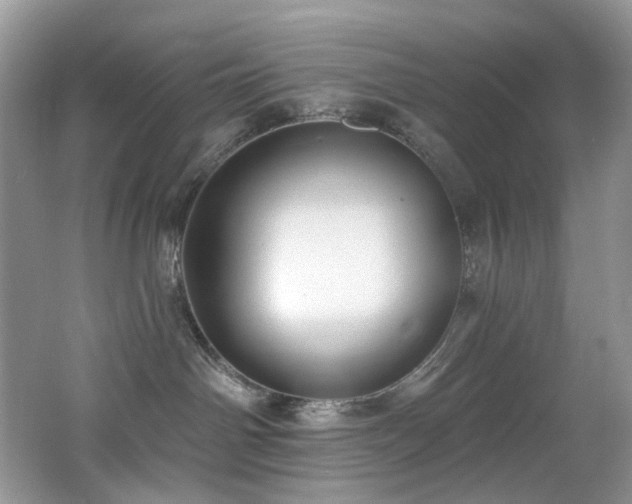 X0000062690142200512211446