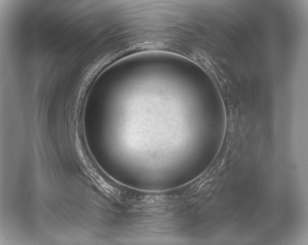 X0000062690145200512211445