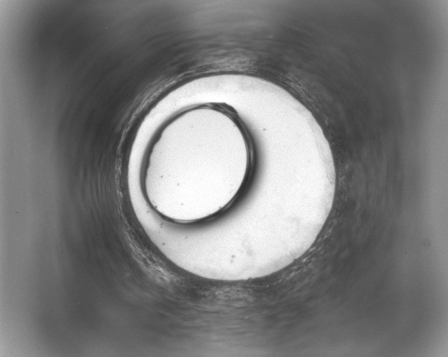 X0000062690146200512211445