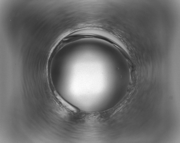 X0000062690148200512211445