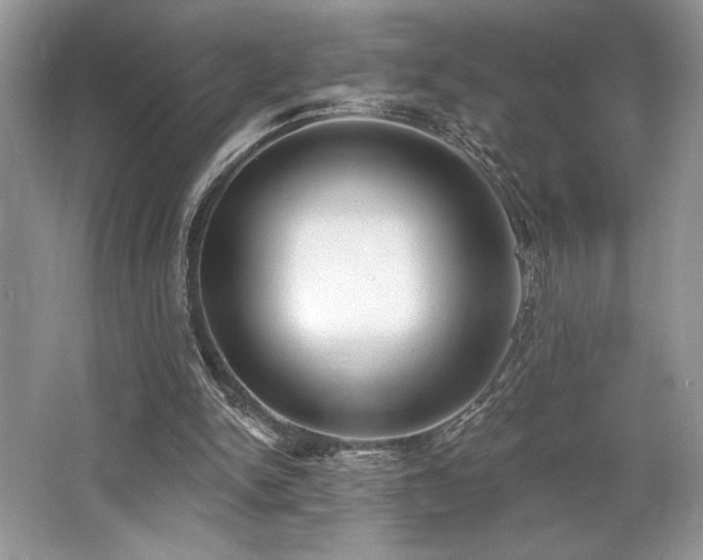 X0000062690150200512211445