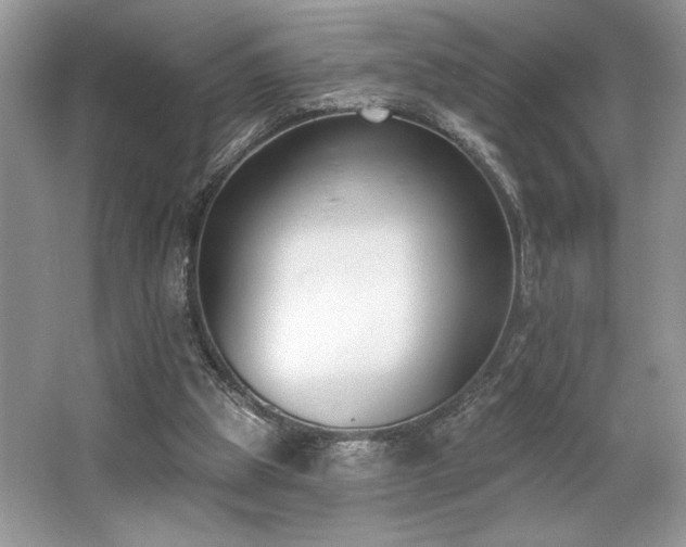 X0000062690153200512211445